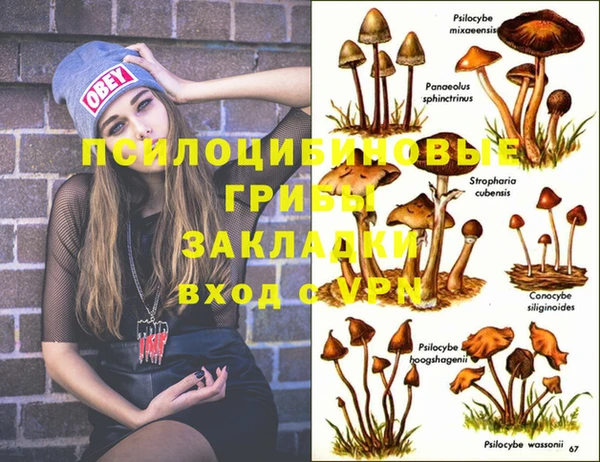 прущие крисы Кукмор