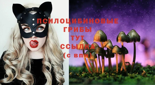 таблы Кулебаки
