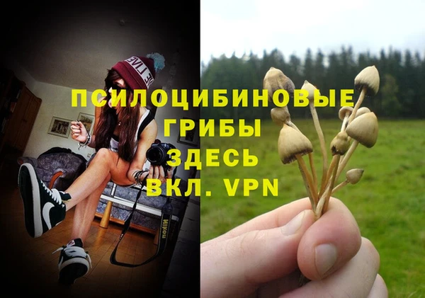 гидра Болотное