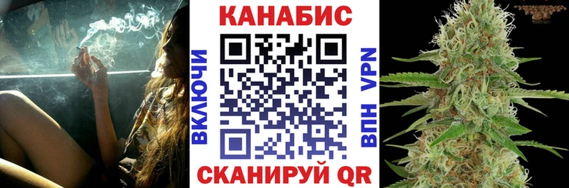 площадка состав  Луга  Шишки марихуана Amnesia 